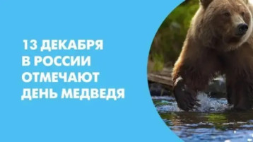 День медведя День медведя.